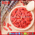 Goji árvore goji berry bebida goji berry cápsulas